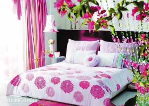 春天家居不寂寞